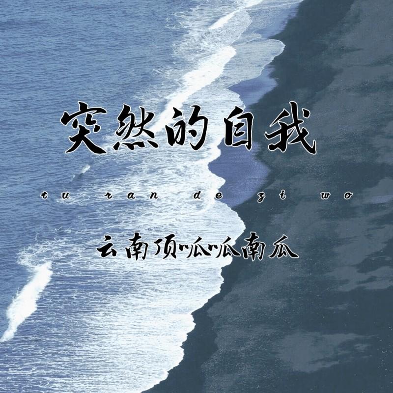 突然的自我 (DJ默涵版)封面
