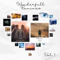 Wonderfull Remixes, Vol. 1