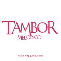 TAMBOR MELODICO