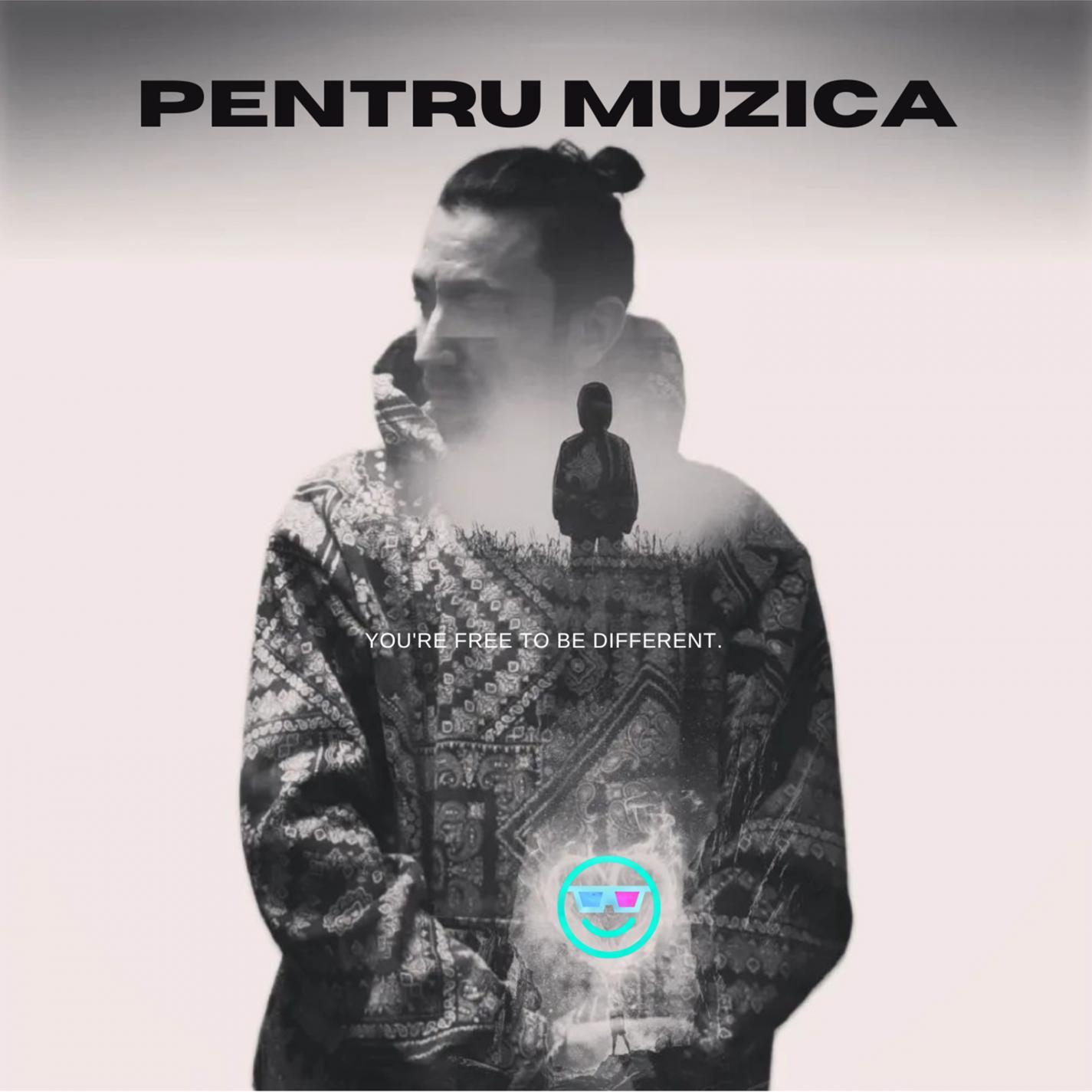 Pentru Muzica (feat. Shayan)
