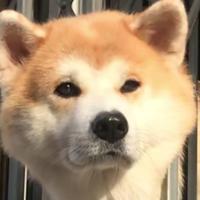 小陈正在启航
