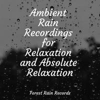 Ambient Rain Recordings for Relaxation and Absolute Relaxation