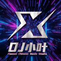 DJ小叶Remix