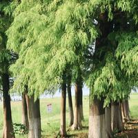 胖酥鱼wy资料,胖酥鱼wy最新歌曲,胖酥鱼wyMV视频,胖酥鱼wy音乐专辑,胖酥鱼wy好听的歌