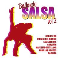 Salsa for Dancing Vol. 2