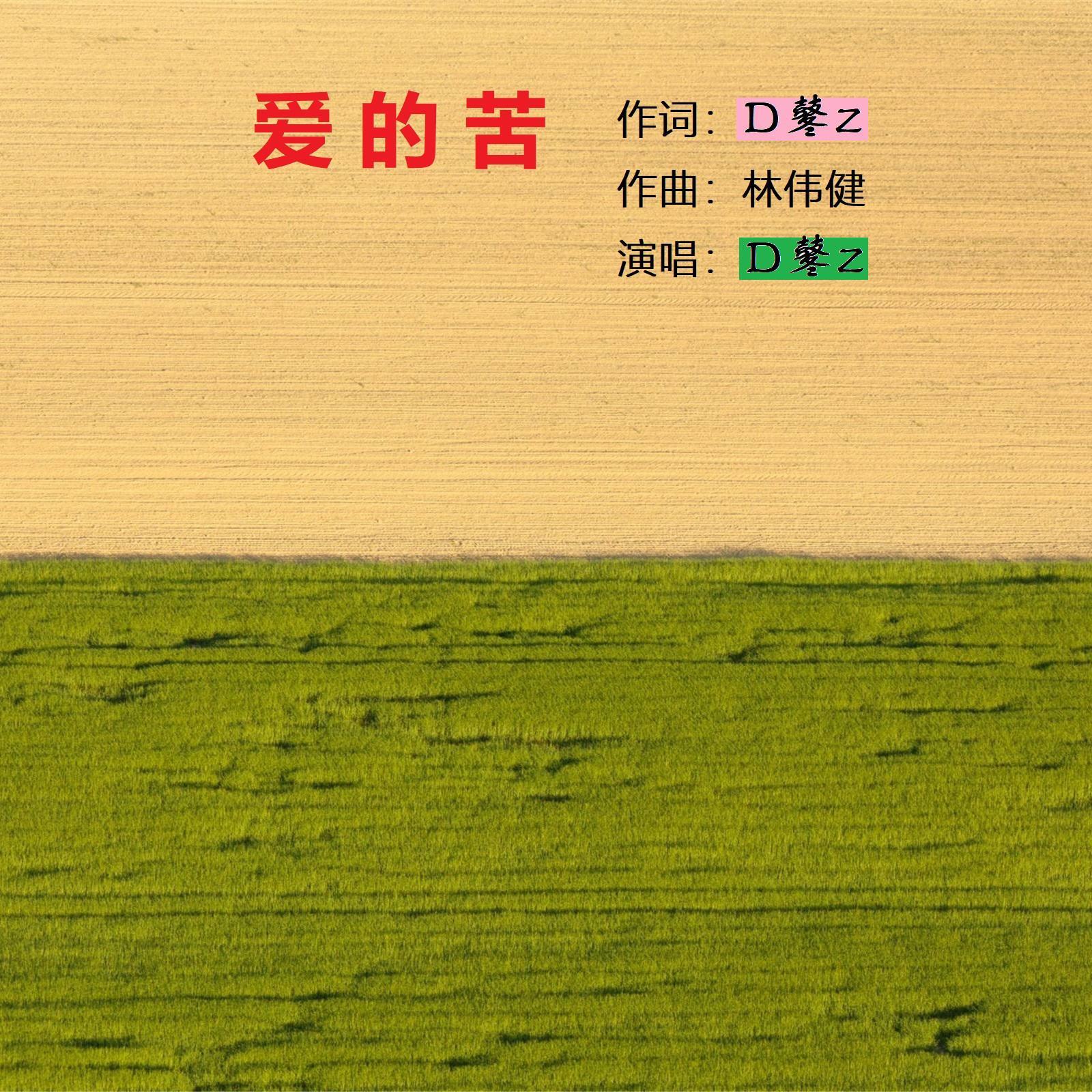 爱的苦 伴奏封面