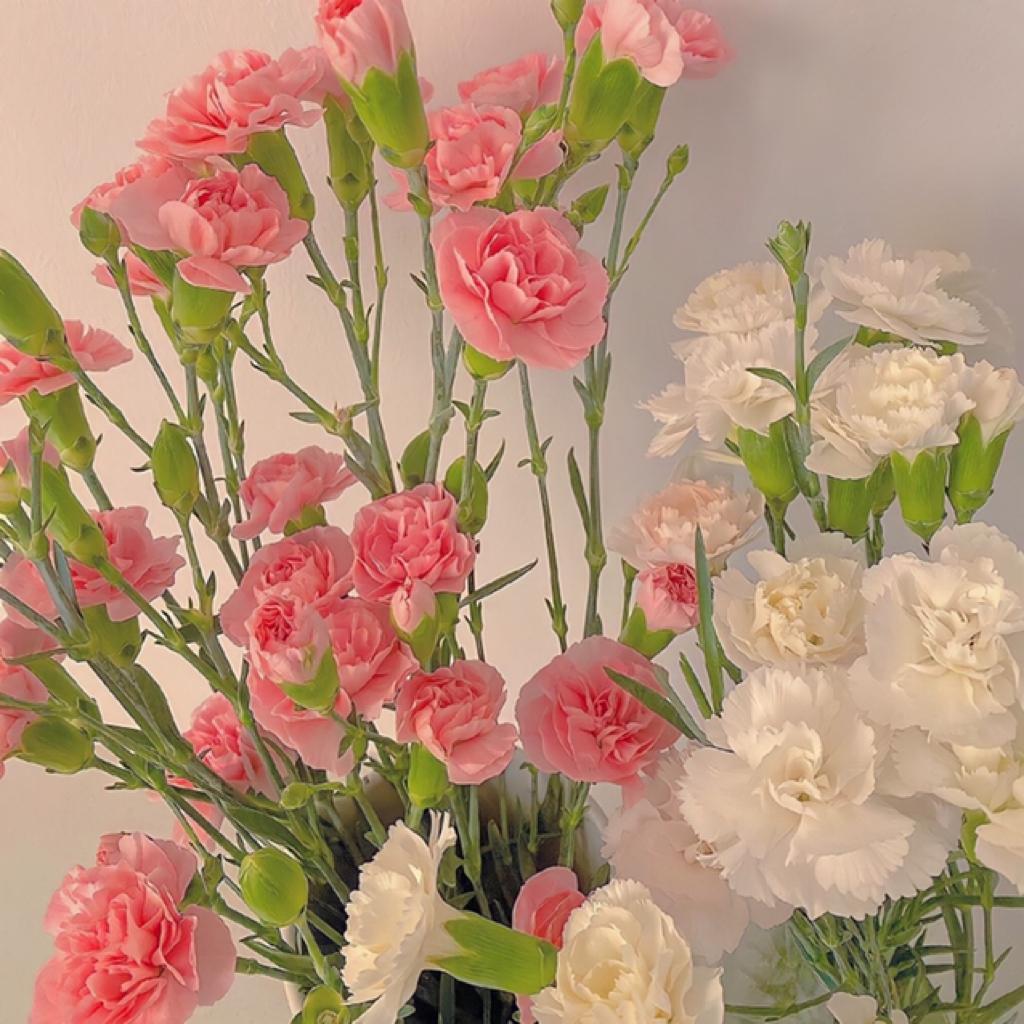 总有人用心，总有人浪漫