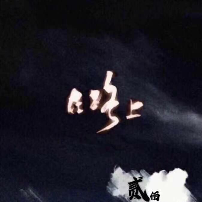 莎琳娜封面