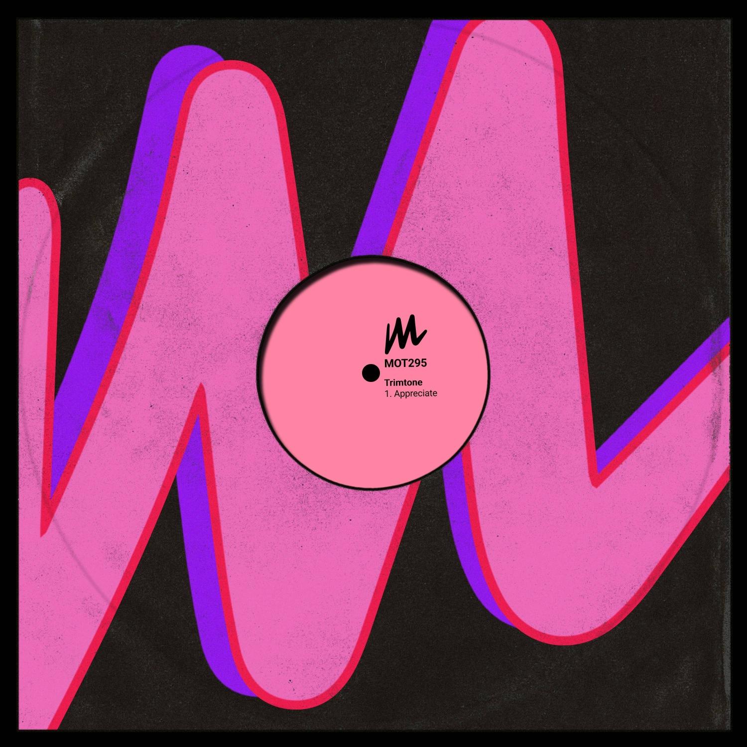 Appreciate (Extended Dub Mix)