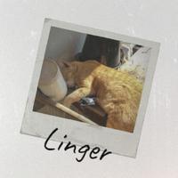 Linger