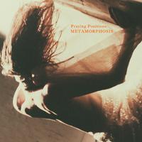 Praying Positions . Metamorphosis