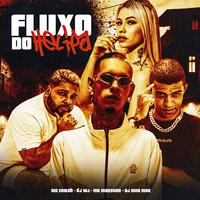 Fluxo no Helipa