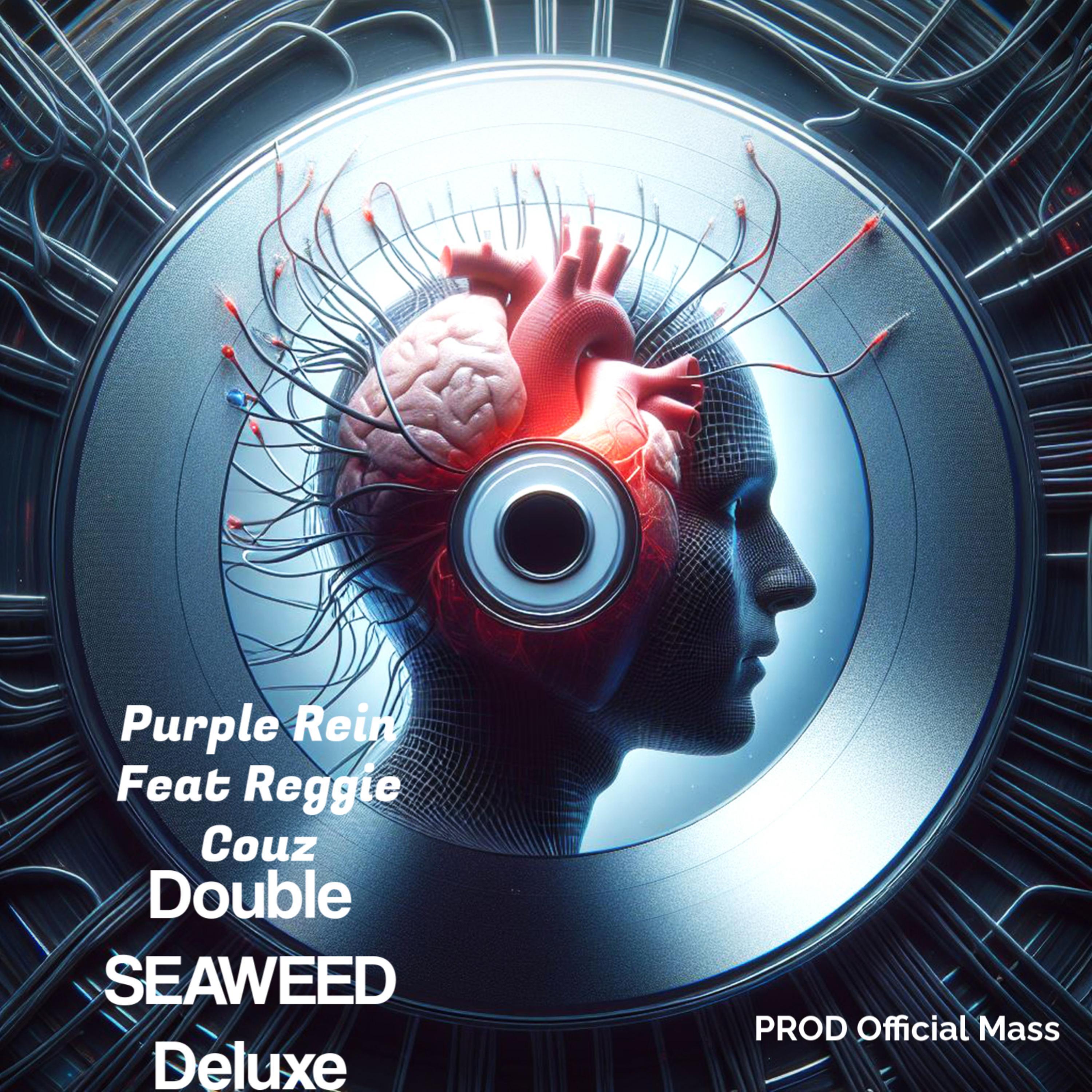 Double Seaweed Deluxe