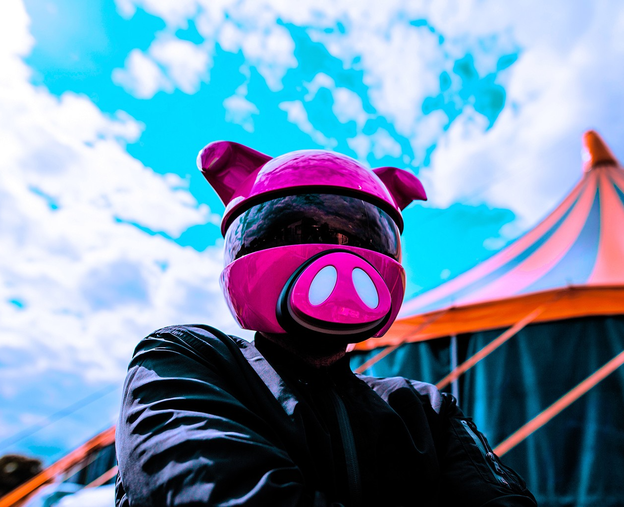 Digital Farm Animals Didn't Know Feat Yasmin Digital Farm Animals - 歌手 - 网易云音乐