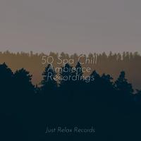 50 Spa Chill Ambience Recordings