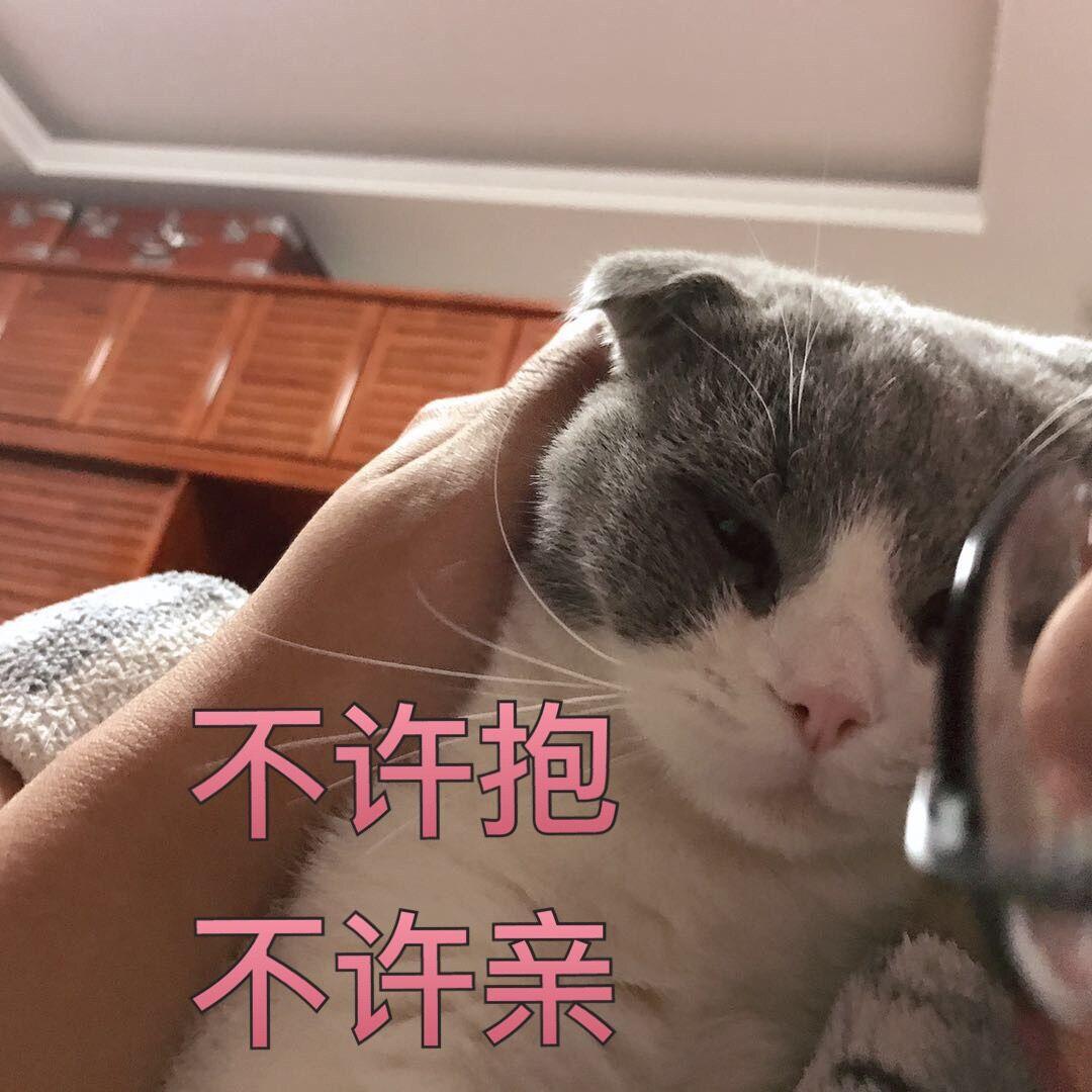 藏进夜里，躲在光下（Cover 焦迈奇）封面