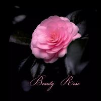 Beauty Rose (feat. Sparklehorse, M. Ward & Fruit Bats)