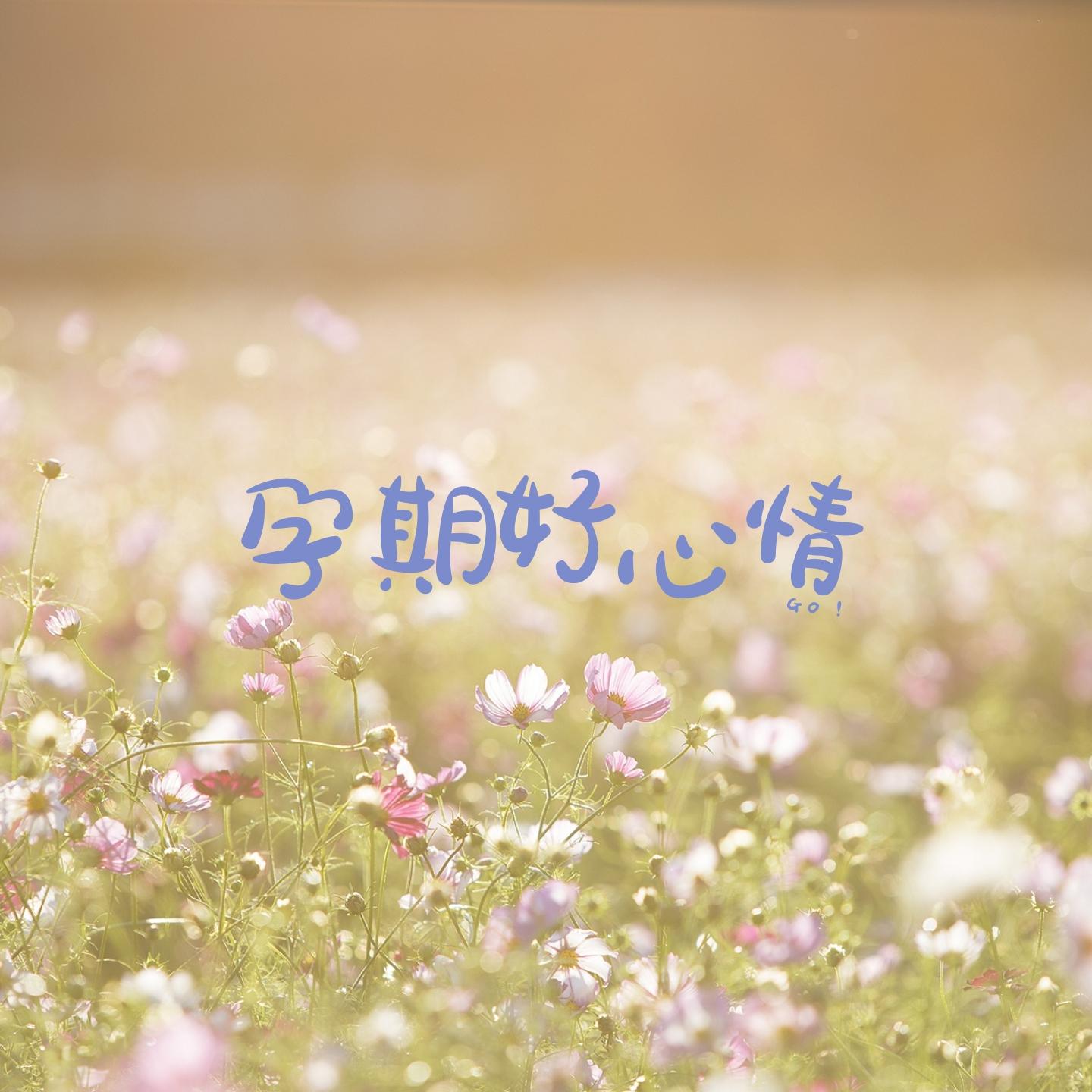 幸福的节拍 (孕期胎教)封面