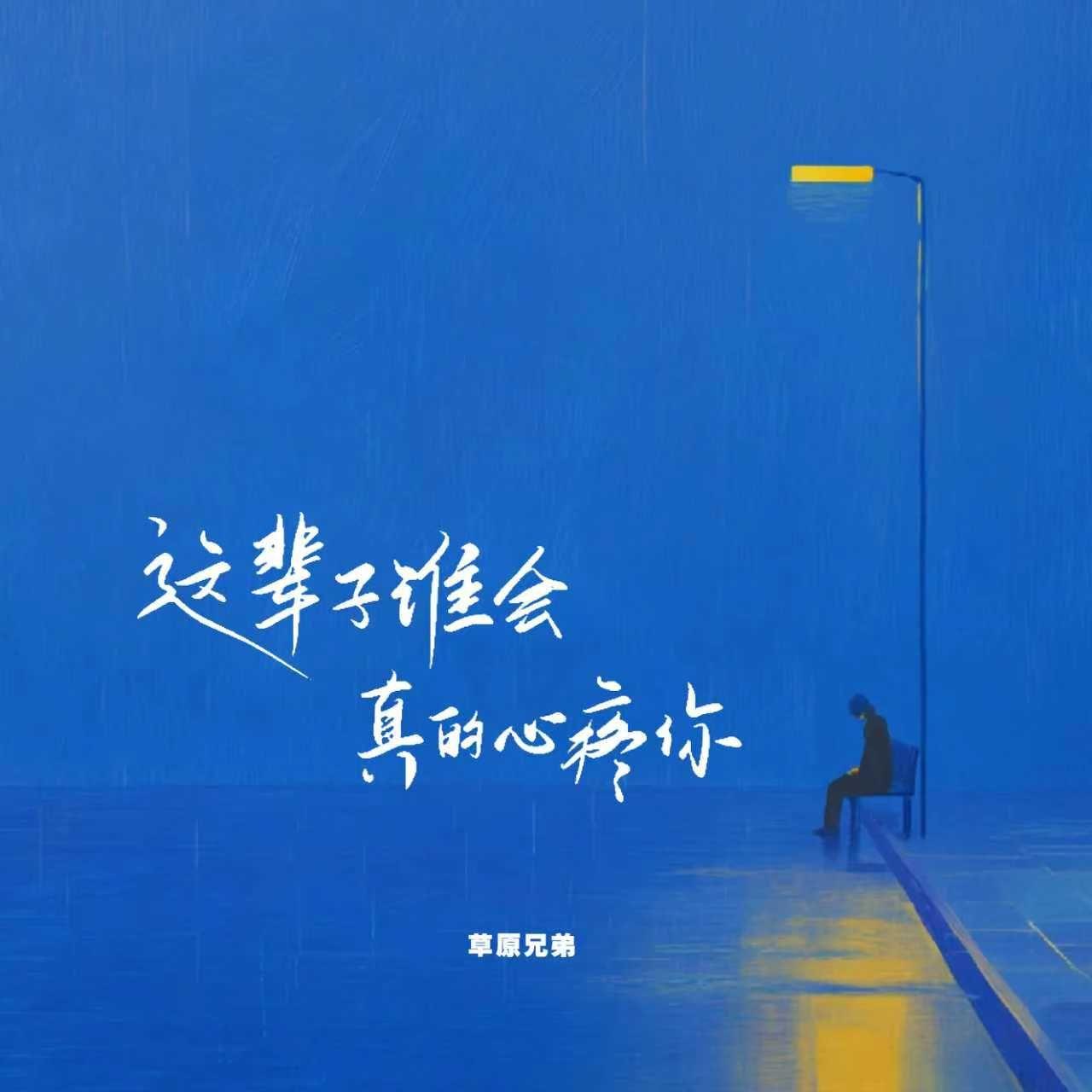 这辈子谁会真的心疼你封面
