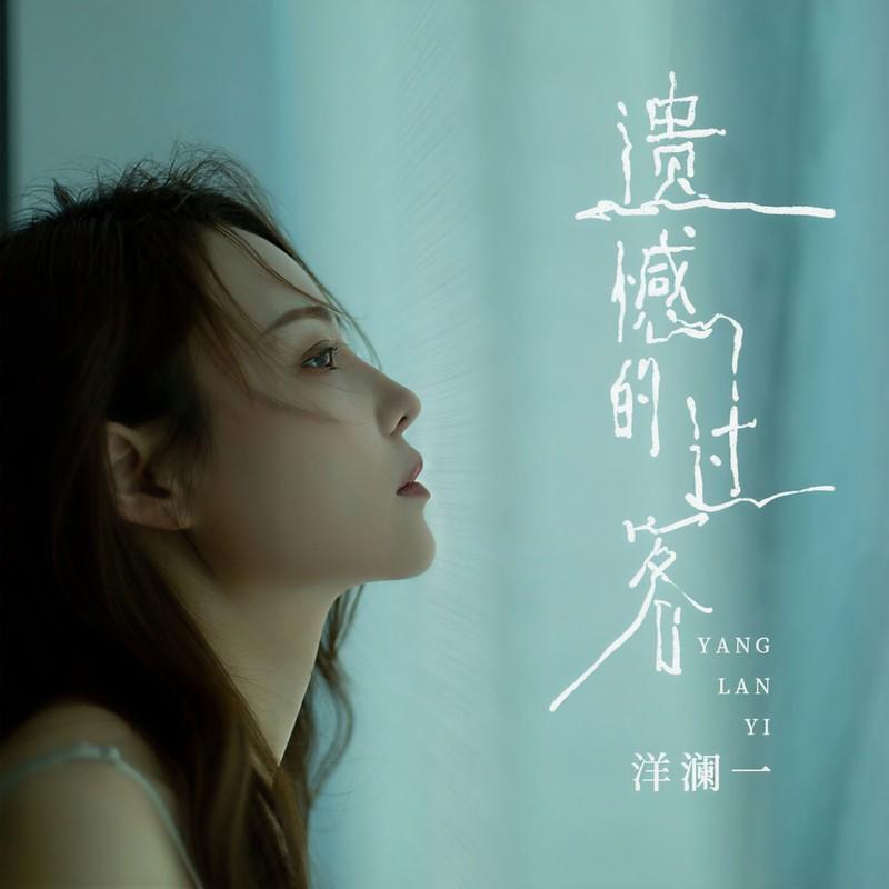 遗憾的过客封面