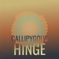 Callipygous Hinge