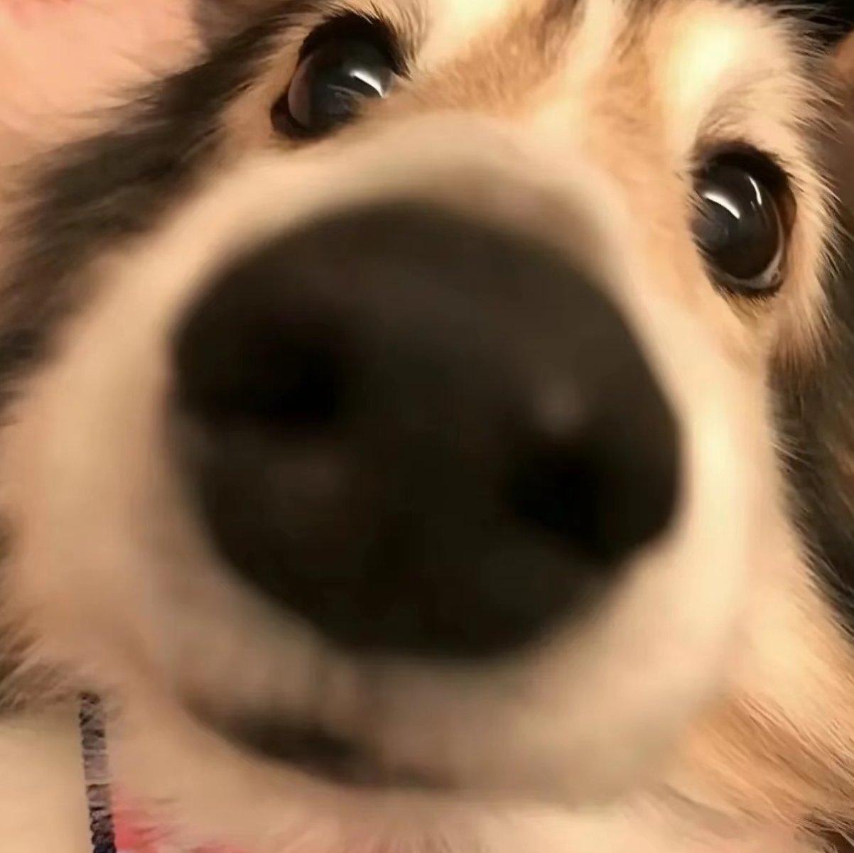 高质量主持/ |TT|模厅/ 控场 嗨曲更新