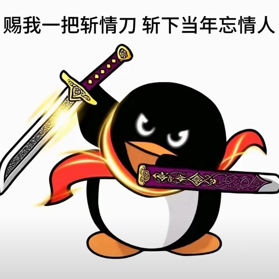 半载的心动封面
