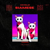 SIAMESE (feat. Kevin JZ Prodigy)