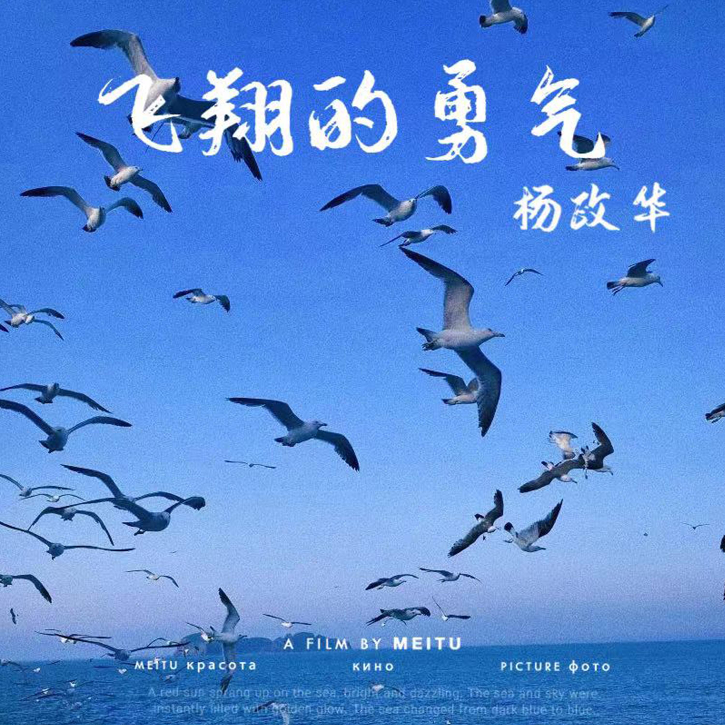 飞翔的勇气封面