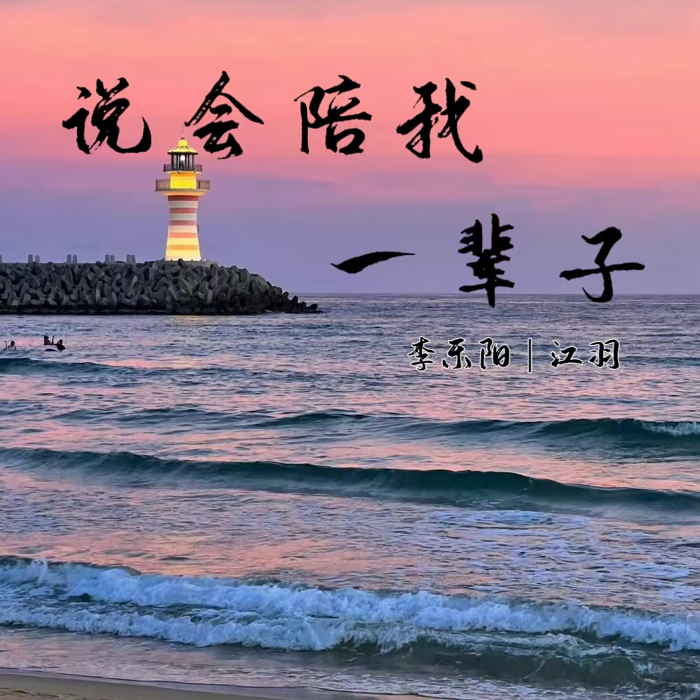 说会陪我一辈子（深情节奏版）封面