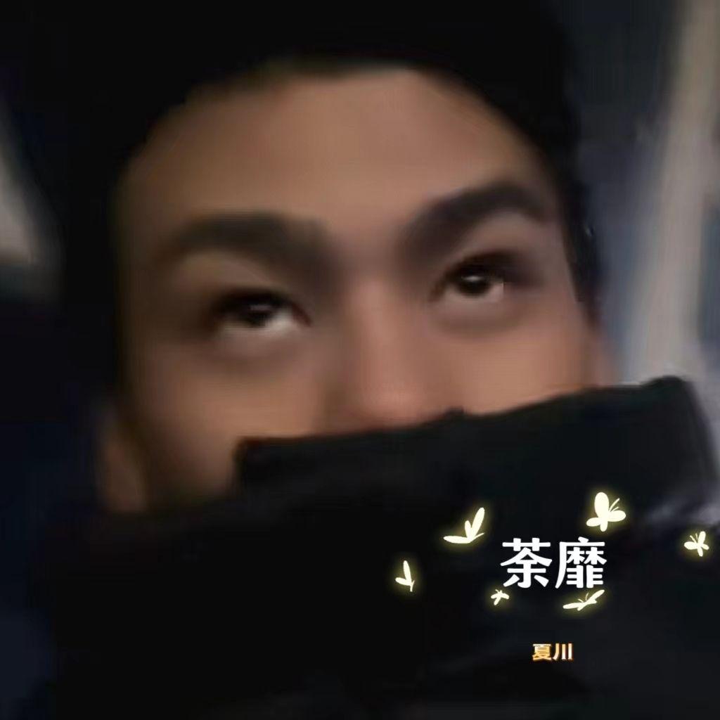 追风赶月的人封面