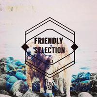 Friendly Selection, Vol. 3