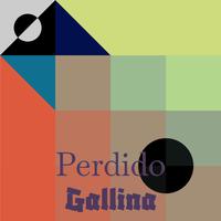 Perdido Gallina