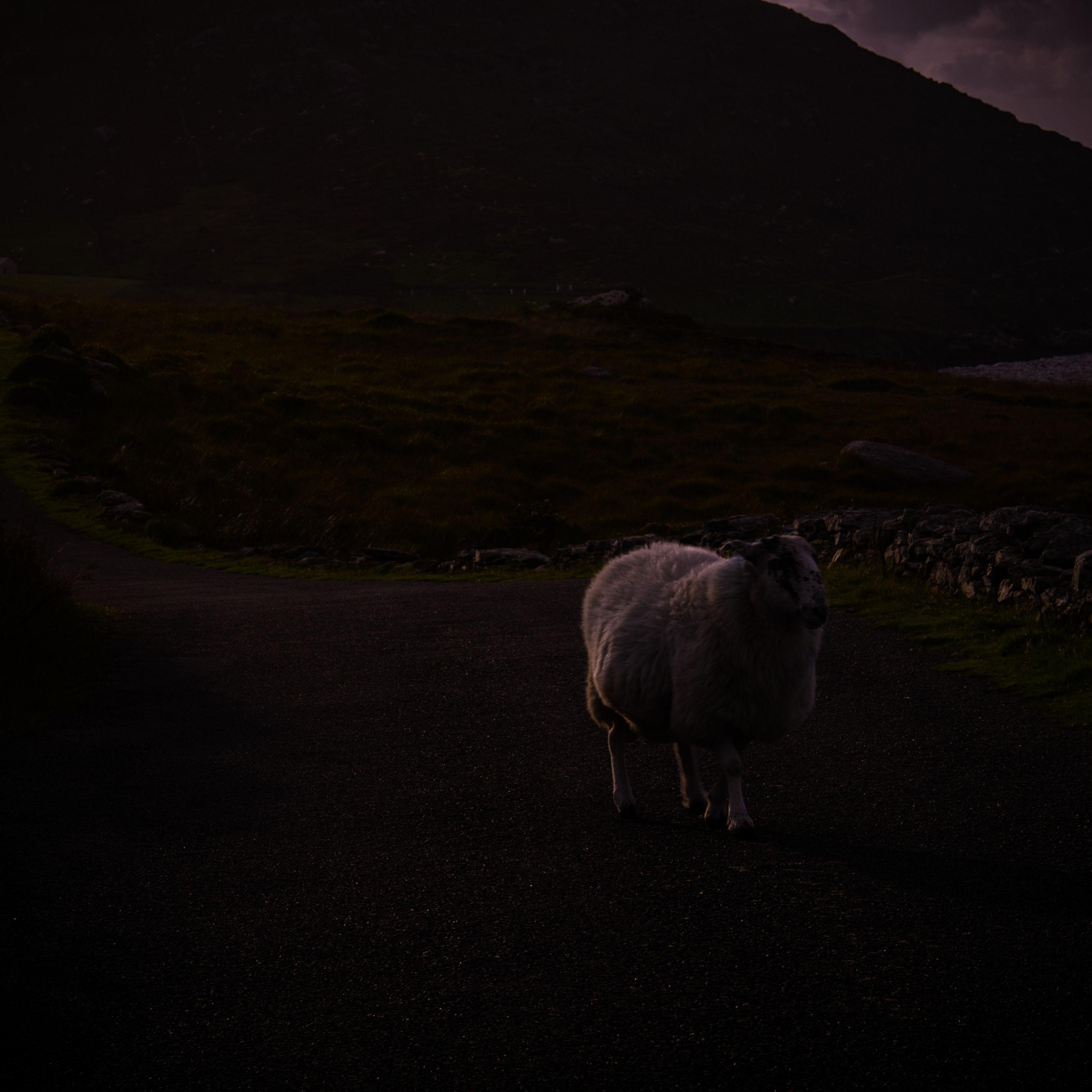Calming Cello Solo in a Cathedral