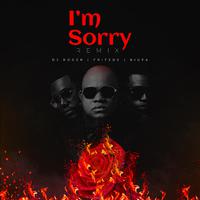 I'm Sorry (feat. BigFa & Fritzoe) [Remix]