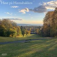 Høst på Havnabakken