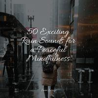 50 Exciting Rain Sounds for a Peaceful Mindfulness