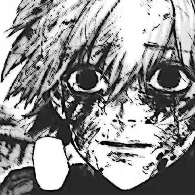 二十片文拉法辛