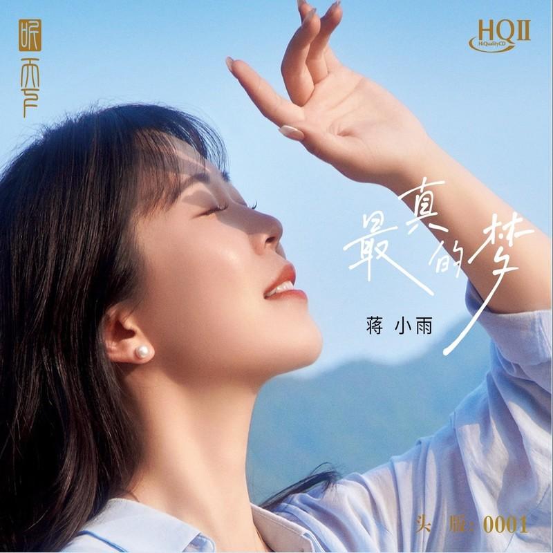 用心良苦 (DJ默涵版)封面
