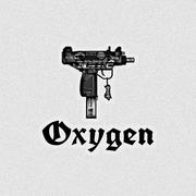 郑州Oxygen氧气制燥