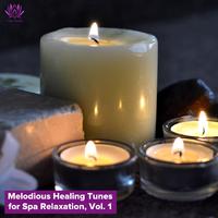 Melodious Healing Tunes for Spa Relaxation, Vol. 1