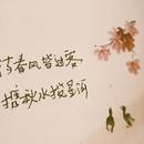南衣非衣