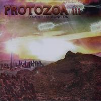 Protozoa Vol. III