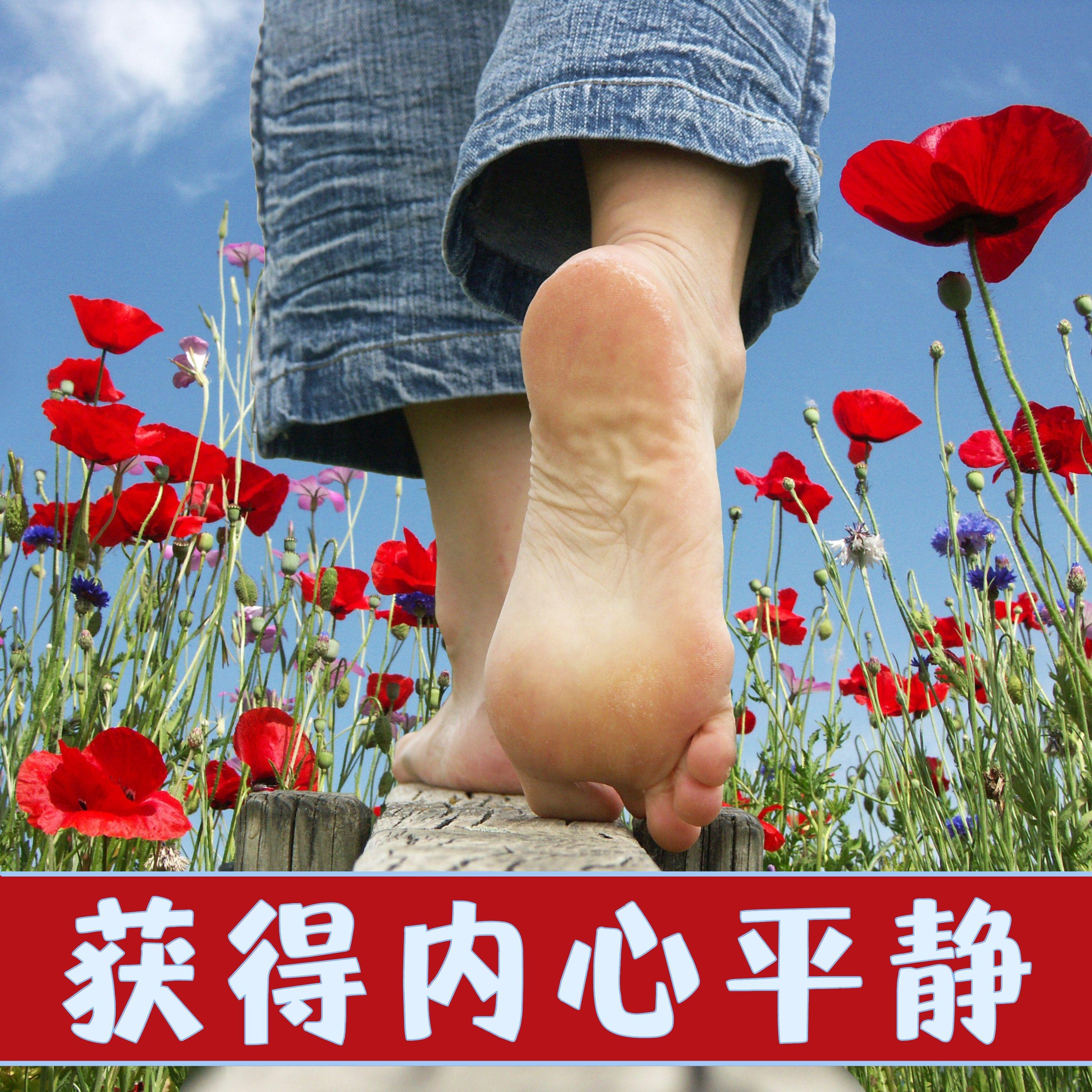 安静下来封面