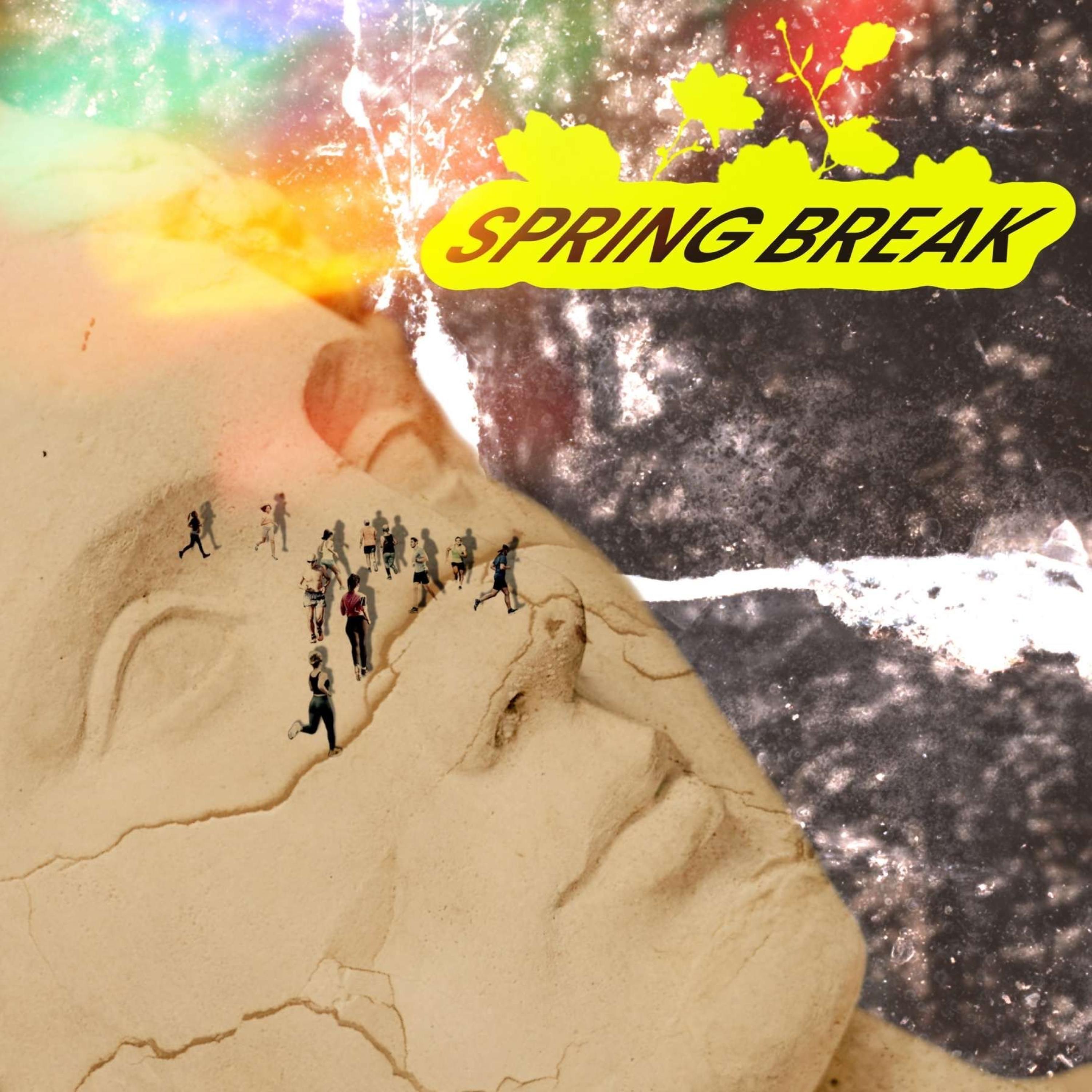 Hunting Down (the Birds)