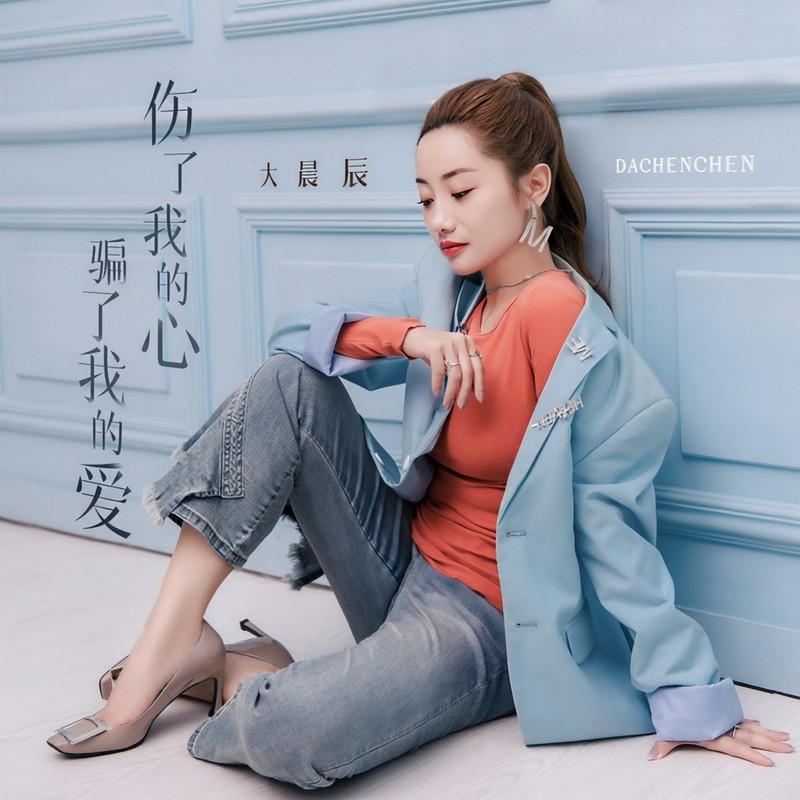 伤了我的心骗了我的爱 (DJ默涵版)封面
