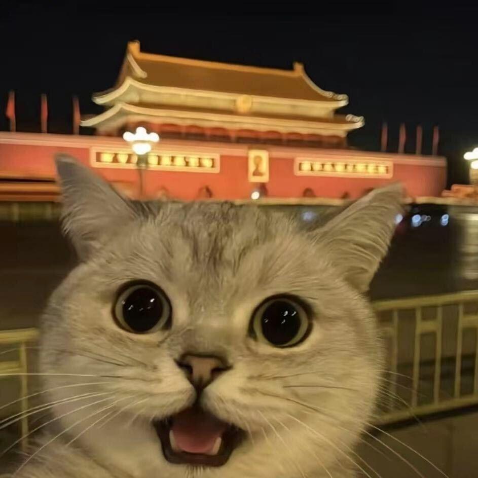 有我呢封面
