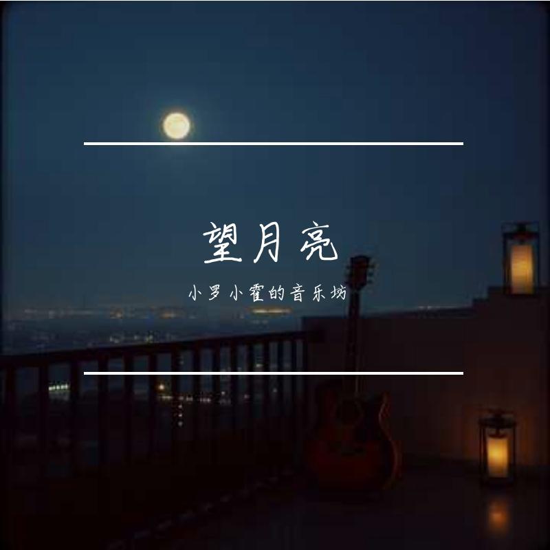 望月亮封面