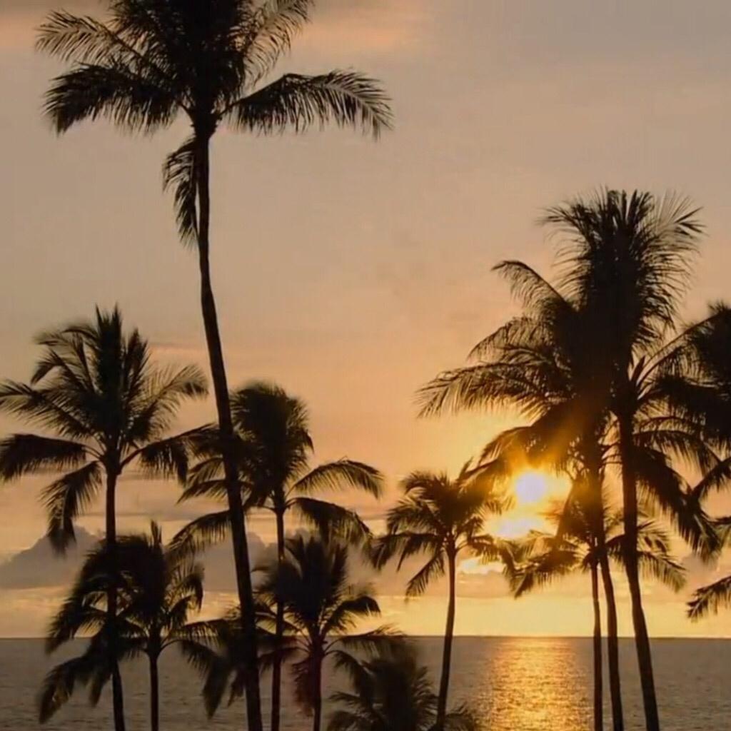 Hawaiian - Lap Steel Guitar