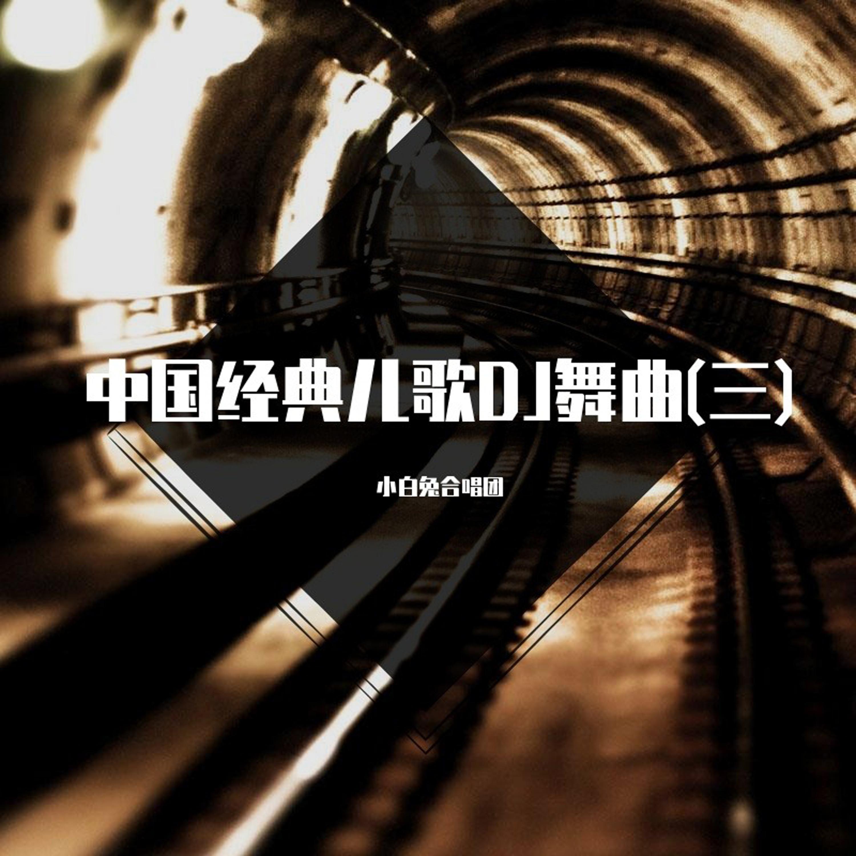 少年英雄小哪吒 (DJ版)封面
